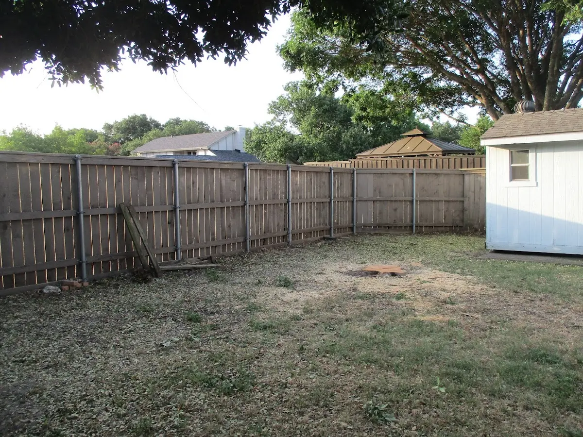 Cleared yard after professional tree removal in Jessup